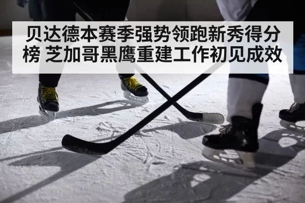 贝达德本赛季强势领跑新秀得分榜 芝加哥黑鹰重建工作初见成效